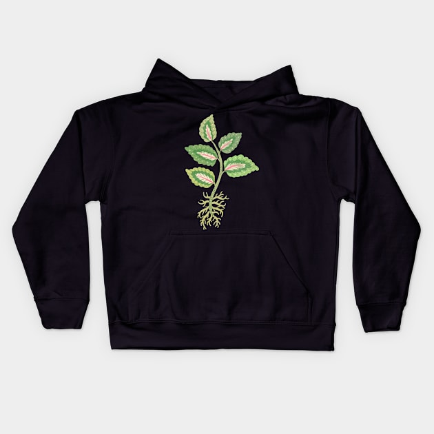 Coleus Cutting Kids Hoodie by Rebelform